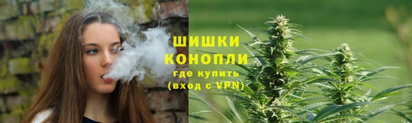 2c-b Козловка