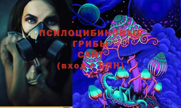стафф Кодинск