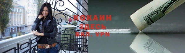 стафф Кодинск