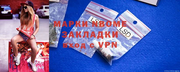 стафф Кодинск
