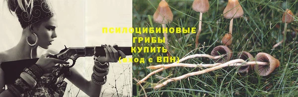 2c-b Козловка