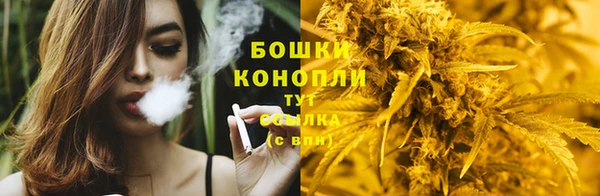 2c-b Козловка