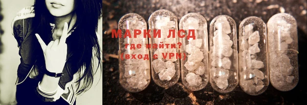 стафф Кодинск