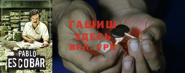 стафф Кодинск