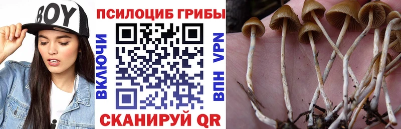 Галлюциногенные грибы MAGIC MUSHROOMS  Кедровый 
